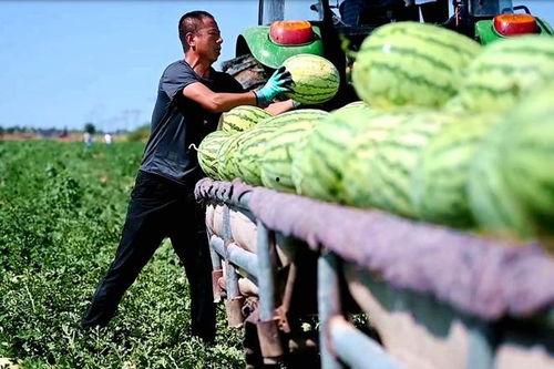 新沂新瓜最新爆料视频,最新爆料内容大起底 第2张 新沂新瓜最新爆料视频,最新爆料内容大起底 第2张